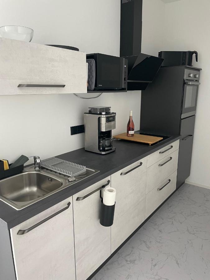 Apartments Saaldorf-Ferienhaus Mit 6 Apartments 45Qm-120Qm Direkt Am Thueringer Meer-Bleilochtalsperre Bad Lobenstein Kültér fotó
