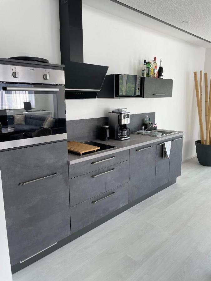 Apartments Saaldorf-Ferienhaus Mit 6 Apartments 45Qm-120Qm Direkt Am Thueringer Meer-Bleilochtalsperre Bad Lobenstein Kültér fotó
