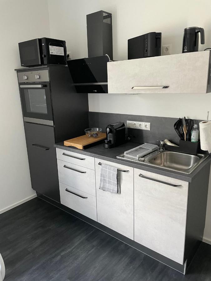 Apartments Saaldorf-Ferienhaus Mit 6 Apartments 45Qm-120Qm Direkt Am Thueringer Meer-Bleilochtalsperre Bad Lobenstein Kültér fotó