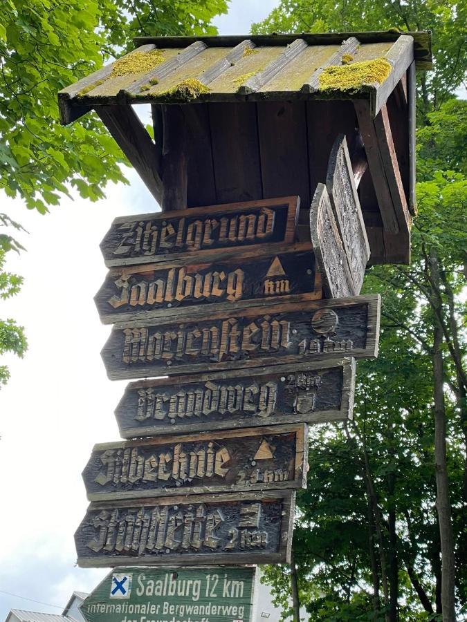 Apartments Saaldorf-Ferienhaus Mit 6 Apartments 45Qm-120Qm Direkt Am Thueringer Meer-Bleilochtalsperre Bad Lobenstein Kültér fotó
