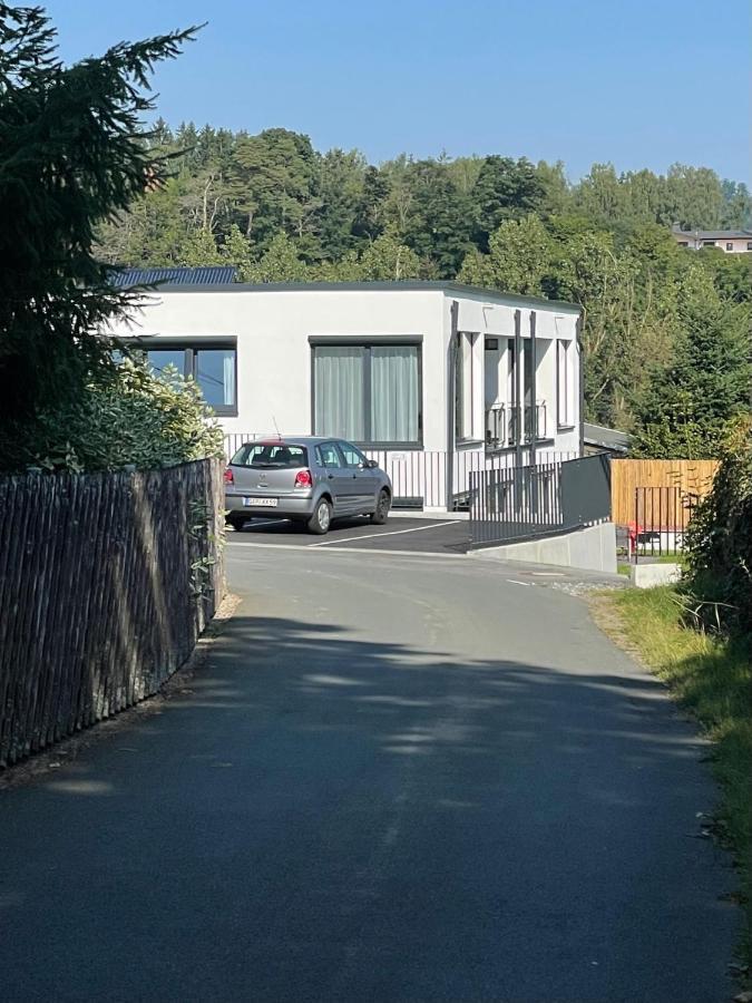 Apartments Saaldorf-Ferienhaus Mit 6 Apartments 45Qm-120Qm Direkt Am Thueringer Meer-Bleilochtalsperre Bad Lobenstein Kültér fotó