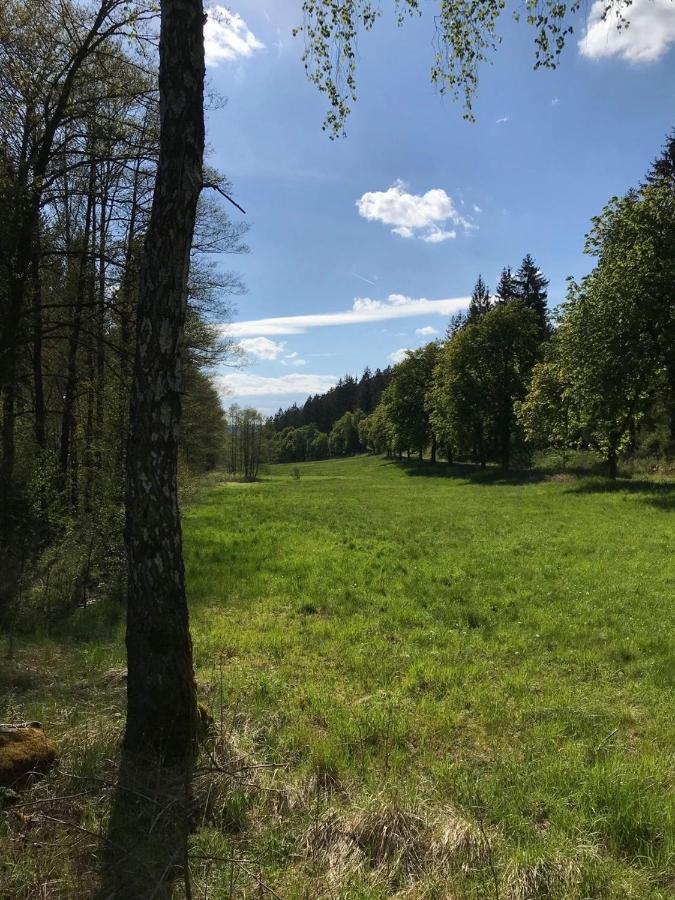 Apartments Saaldorf-Ferienhaus Mit 6 Apartments 45Qm-120Qm Direkt Am Thueringer Meer-Bleilochtalsperre Bad Lobenstein Kültér fotó