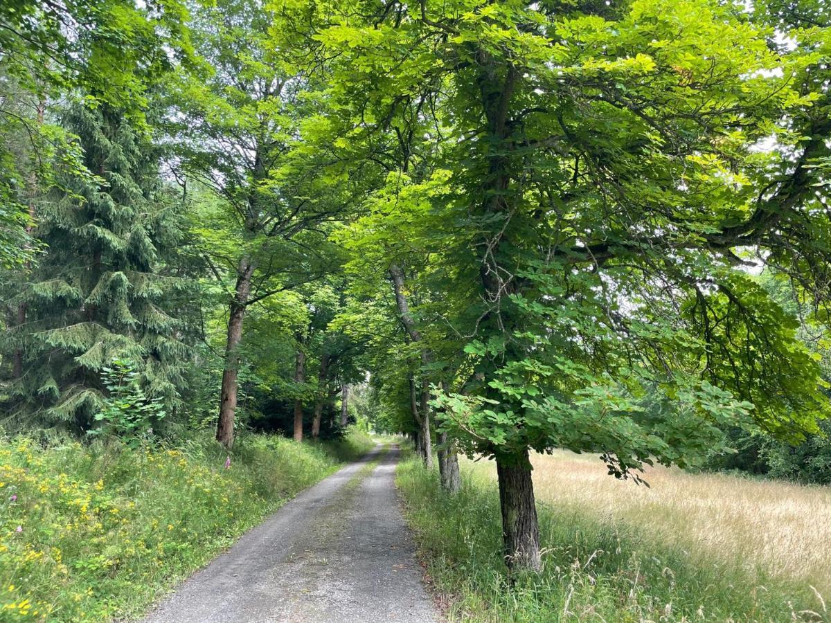 Apartments Saaldorf-Ferienhaus Mit 6 Apartments 45Qm-120Qm Direkt Am Thueringer Meer-Bleilochtalsperre Bad Lobenstein Kültér fotó