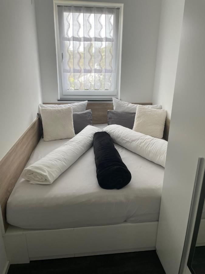 Apartments Saaldorf-Ferienhaus Mit 6 Apartments 45Qm-120Qm Direkt Am Thueringer Meer-Bleilochtalsperre Bad Lobenstein Kültér fotó